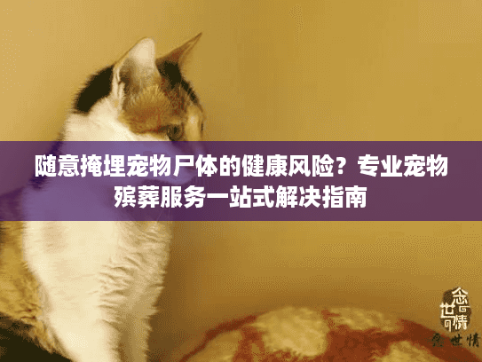 随意掩埋宠物尸体的健康风险？专业宠物殡葬服务一站式解决指南