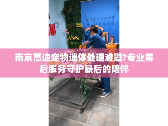 南京高速宠物遗体处理难题?专业善后服务守护最后的陪伴
