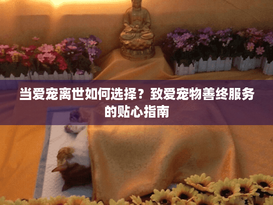 当爱宠离世如何选择？致爱宠物善终服务的贴心指南