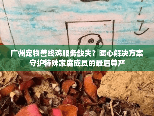 广州宠物善终鸡服务缺失？暖心解决方案守护特殊家庭成员的最后尊严
