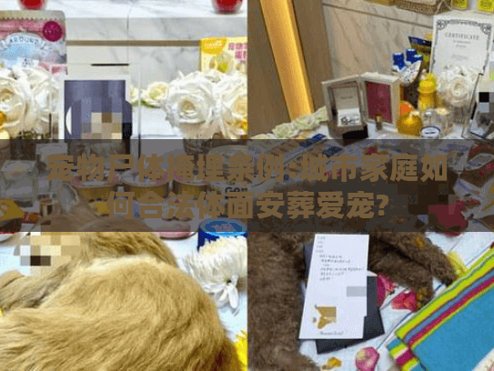 宠物尸体掩埋条例:城市家庭如何合法体面安葬爱宠?