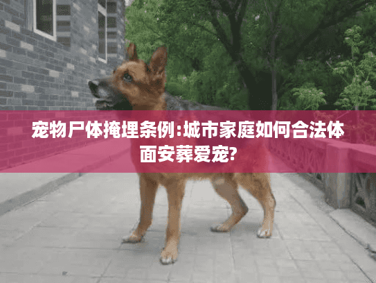 宠物尸体掩埋条例:城市家庭如何合法体面安葬爱宠?