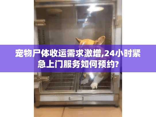 宠物尸体收运需求激增,24小时紧急上门服务如何预约?
