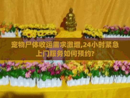 宠物尸体收运需求激增,24小时紧急上门服务如何预约?