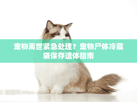 宠物离世紧急处理？宠物尸体冷藏袋保存遗体指南