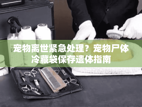 宠物离世紧急处理？宠物尸体冷藏袋保存遗体指南