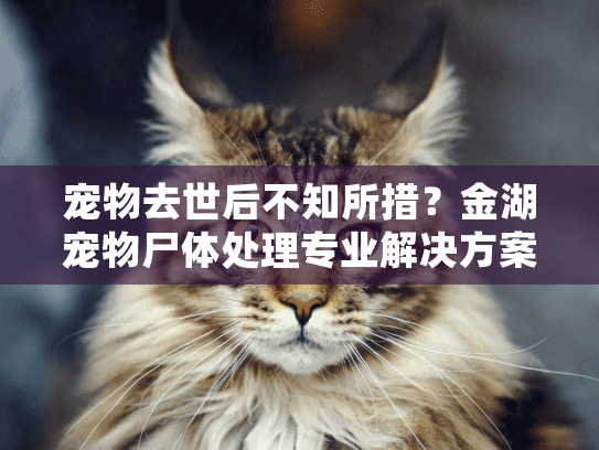 宠物去世后不知所措？金湖宠物尸体处理专业解决方案