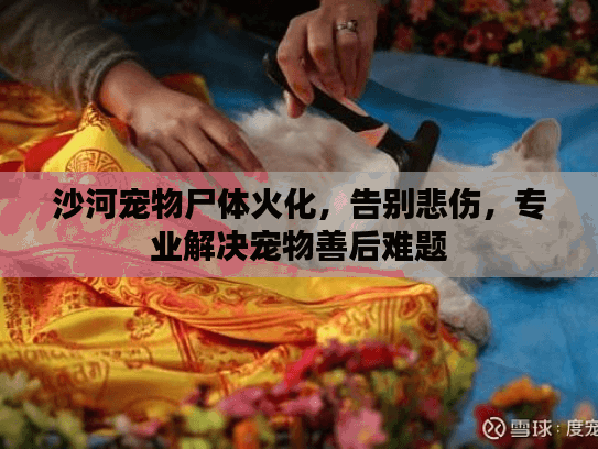 沙河宠物尸体火化，告别悲伤，专业解决宠物善后难题
