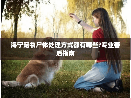 海宁宠物尸体处理方式都有哪些?专业善后指南