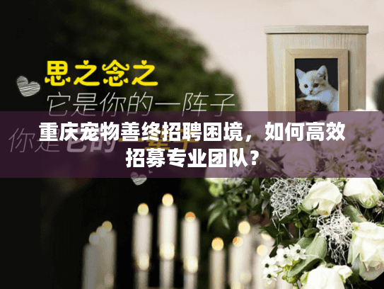 重庆宠物善终招聘困境，如何高效招募专业团队？