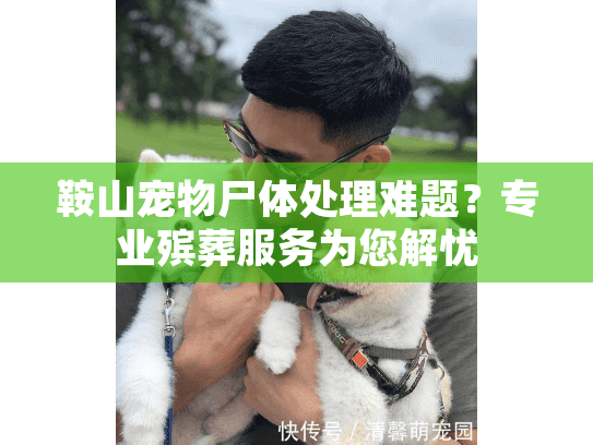 鞍山宠物尸体处理难题？专业殡葬服务为您解忧