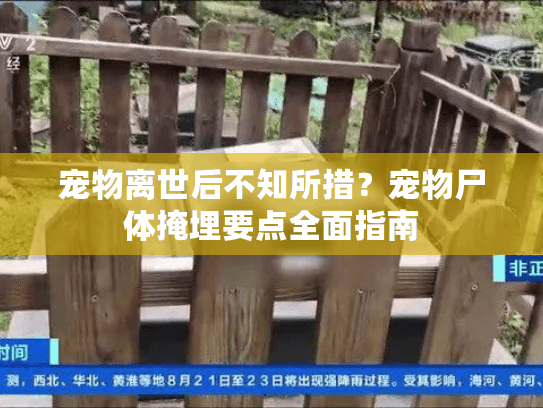 宠物离世后不知所措？宠物尸体掩埋要点全面指南