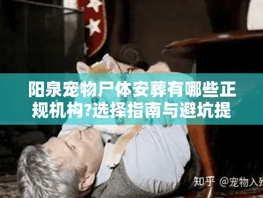 阳泉宠物尸体安葬有哪些正规机构?选择指南与避坑提醒