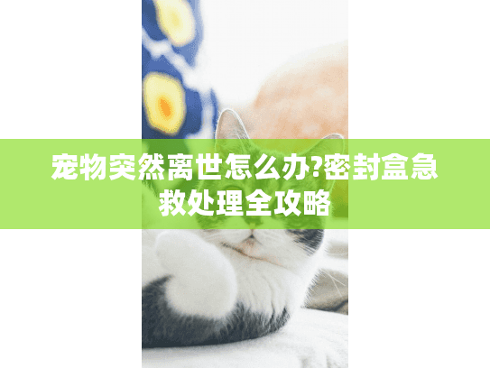 宠物突然离世怎么办?密封盒急救处理全攻略