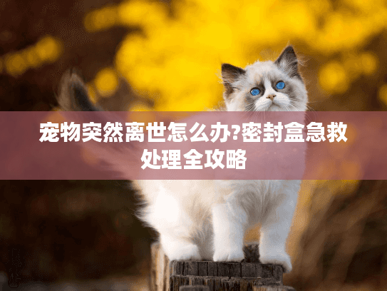 宠物突然离世怎么办?密封盒急救处理全攻略