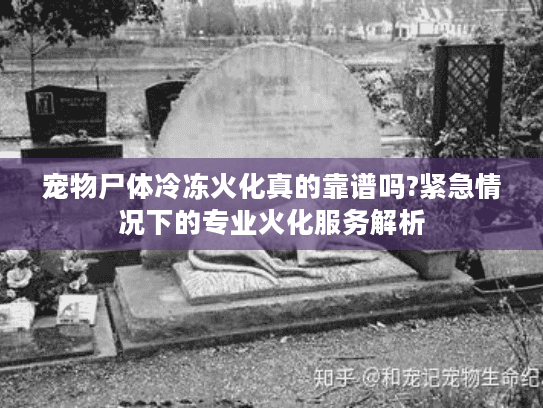 宠物尸体冷冻火化真的靠谱吗?紧急情况下的专业火化服务解析