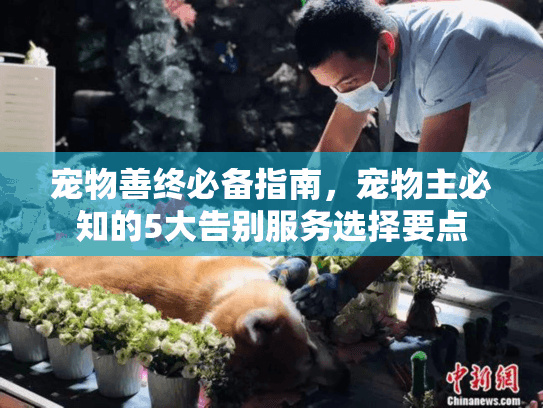 宠物善终必备指南，宠物主必知的5大告别服务选择要点