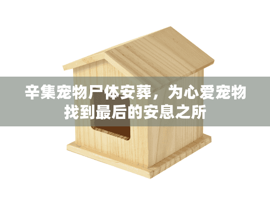 辛集宠物尸体安葬，为心爱宠物找到最后的安息之所