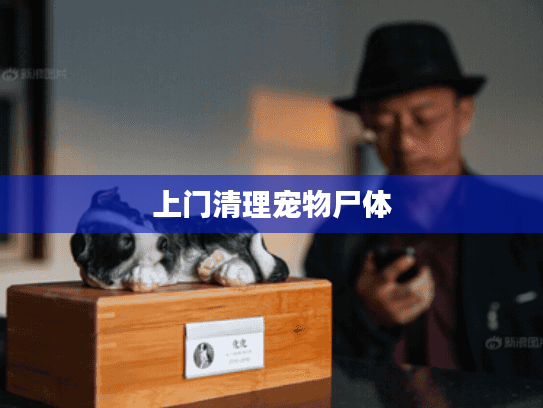 上门清理宠物尸体