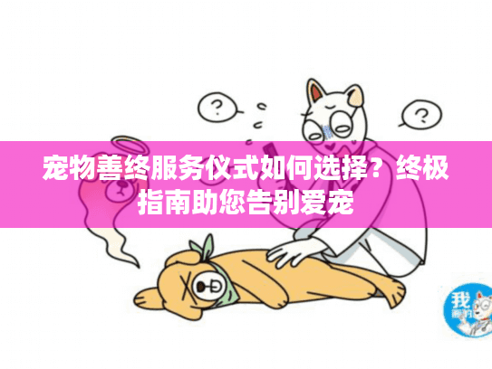 宠物善终服务仪式如何选择？终极指南助您告别爱宠