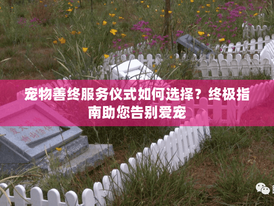 宠物善终服务仪式如何选择？终极指南助您告别爱宠
