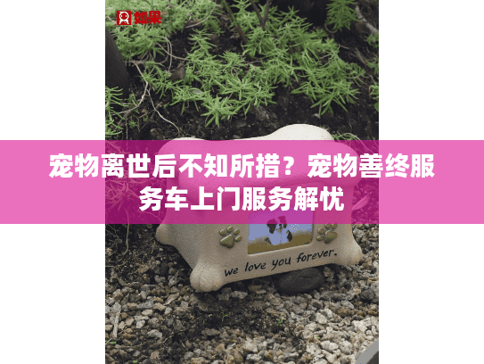 宠物离世后不知所措？宠物善终服务车上门服务解忧