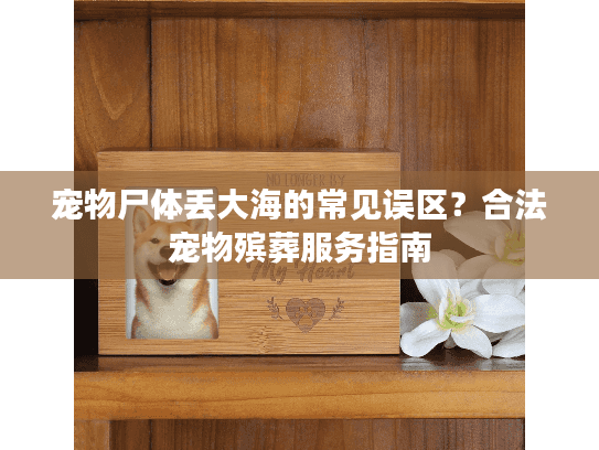 宠物尸体丢大海的常见误区？合法宠物殡葬服务指南
