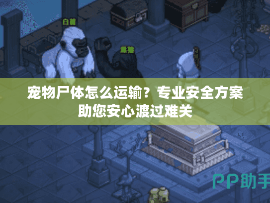 宠物尸体怎么运输？专业安全方案助您安心渡过难关