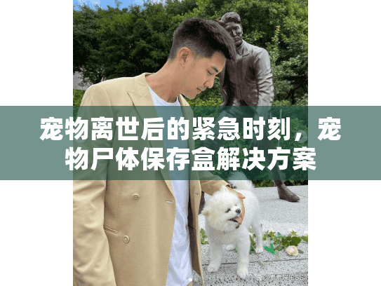 宠物离世后的紧急时刻，宠物尸体保存盒解决方案