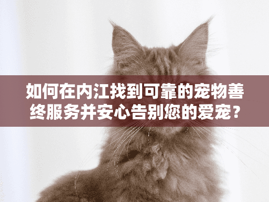 如何在内江找到可靠的宠物善终服务并安心告别您的爱宠？