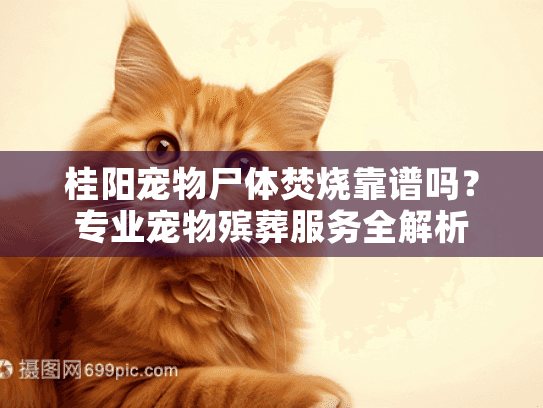 桂阳宠物尸体焚烧靠谱吗？专业宠物殡葬服务全解析