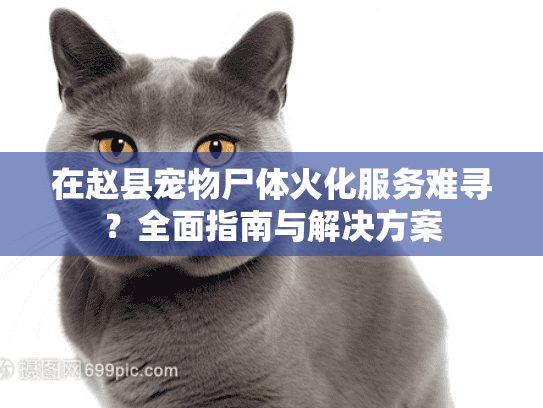 在赵县宠物尸体火化服务难寻？全面指南与解决方案