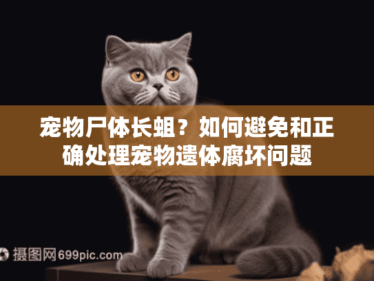 宠物尸体长蛆？如何避免和正确处理宠物遗体腐坏问题