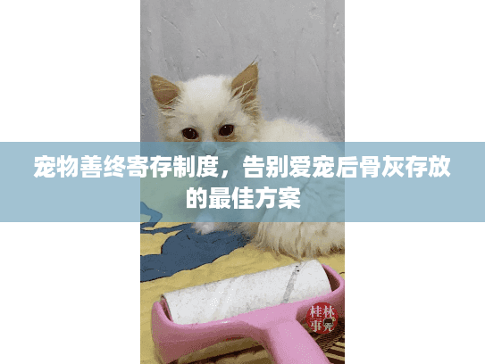 宠物善终寄存制度，告别爱宠后骨灰存放的最佳方案