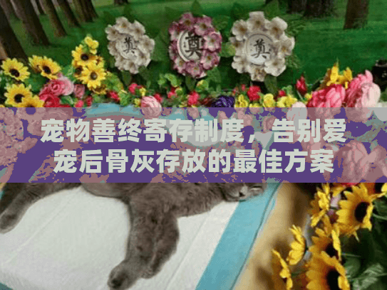 宠物善终寄存制度，告别爱宠后骨灰存放的最佳方案