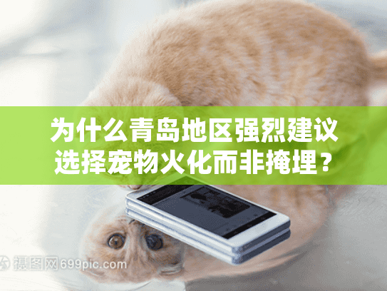 为什么青岛地区强烈建议选择宠物火化而非掩埋？