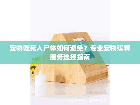宠物吃死人尸体如何避免？专业宠物殡葬服务选择指南