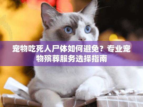 宠物吃死人尸体如何避免？专业宠物殡葬服务选择指南