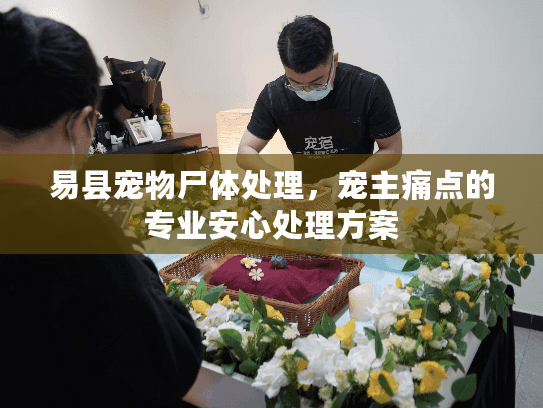 易县宠物尸体处理，宠主痛点的专业安心处理方案