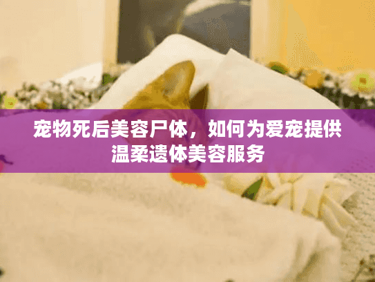 宠物死后美容尸体，如何为爱宠提供温柔遗体美容服务