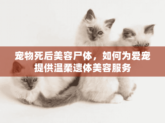 宠物死后美容尸体，如何为爱宠提供温柔遗体美容服务
