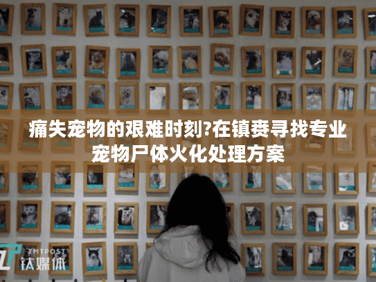 痛失宠物的艰难时刻?在镇赉寻找专业宠物尸体火化处理方案
