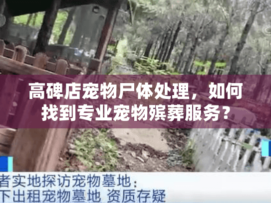 高碑店宠物尸体处理，如何找到专业宠物殡葬服务？