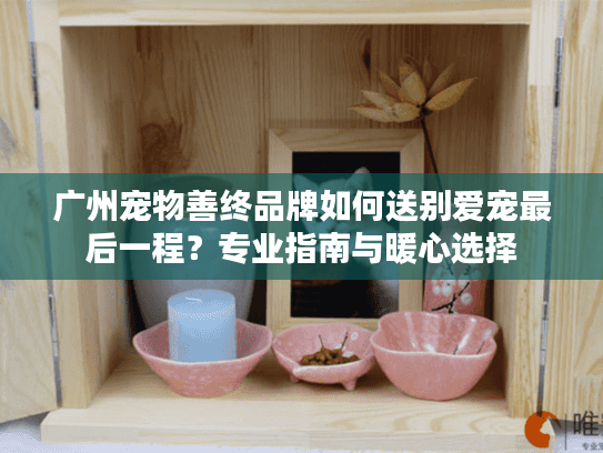 广州宠物善终品牌如何送别爱宠最后一程？专业指南与暖心选择