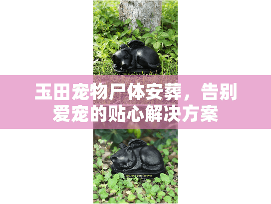 玉田宠物尸体安葬,告别爱宠的贴心解决方案 玉田宠物尸体安葬,告别爱宠的贴心解决方案