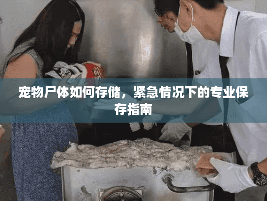 宠物尸体如何存储，紧急情况下的专业保存指南