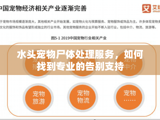 水头宠物尸体处理服务，如何找到专业的告别支持