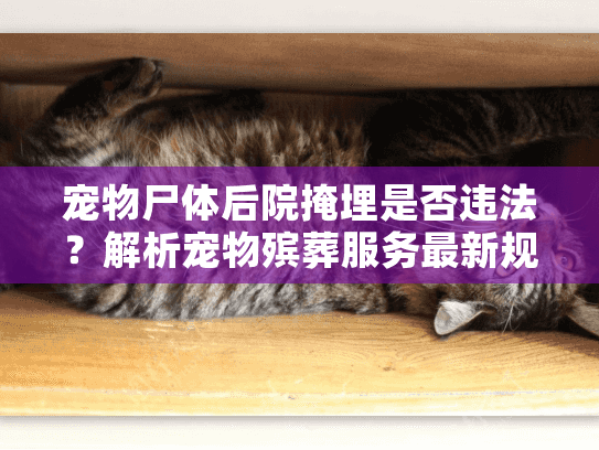 宠物尸体后院掩埋是否违法？解析宠物殡葬服务最新规定