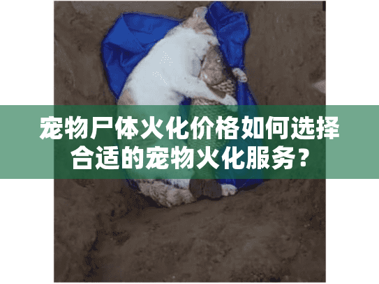宠物尸体火化价格如何选择合适的宠物火化服务？