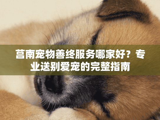 莒南宠物善终服务哪家好？专业送别爱宠的完整指南